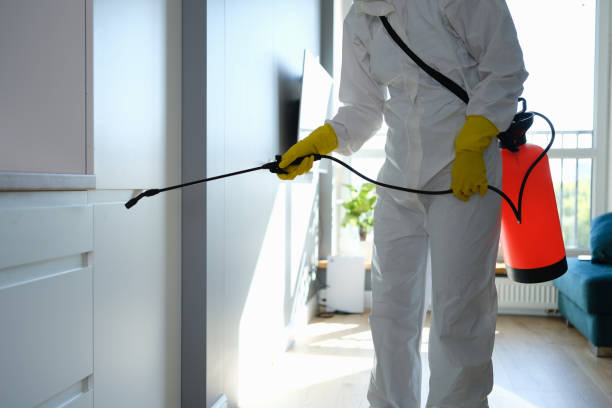 Best Toxic Mold Removal  in Weyauwega, WI